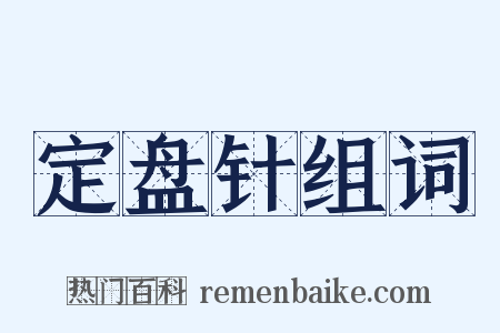 定盘针组词是什么意思的图片